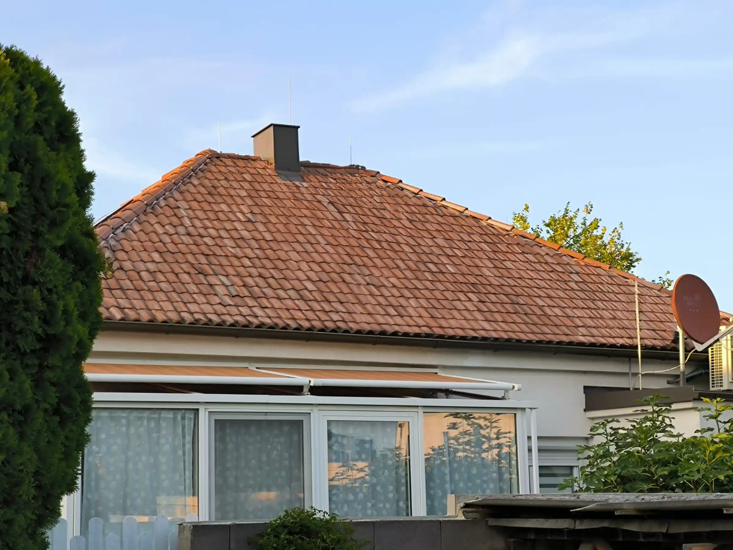 House with mold